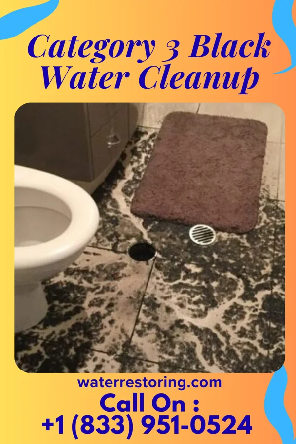 Category 3 Black Water Cleanup in Weir, TX