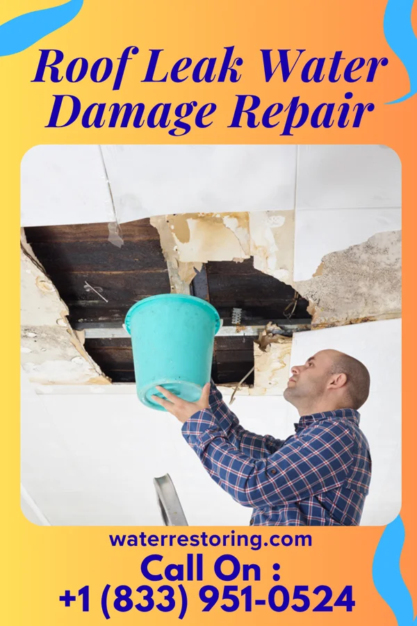 Roof Leak Water Damage Repair in Weir, TX